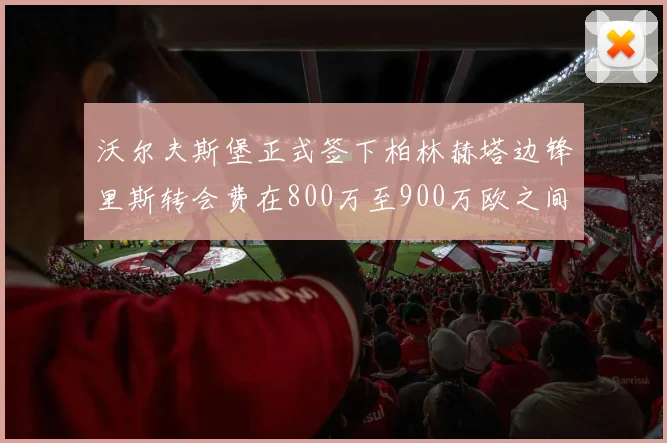 沃尔夫斯堡正式签下柏林赫塔边锋里斯转会费在800万至900万欧之间