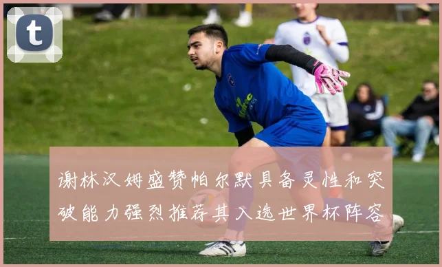 谢林汉姆盛赞帕尔默具备灵性和突破能力强烈推荐其入选世界杯阵容
